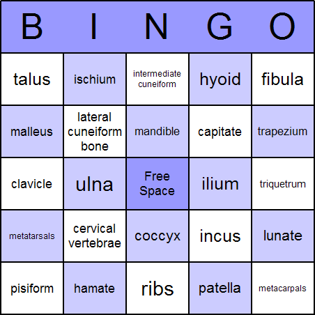 Human Skeleton Bingo Card